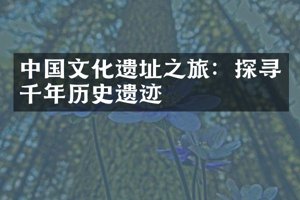 中国文化遗址之旅：探寻千年历史遗迹