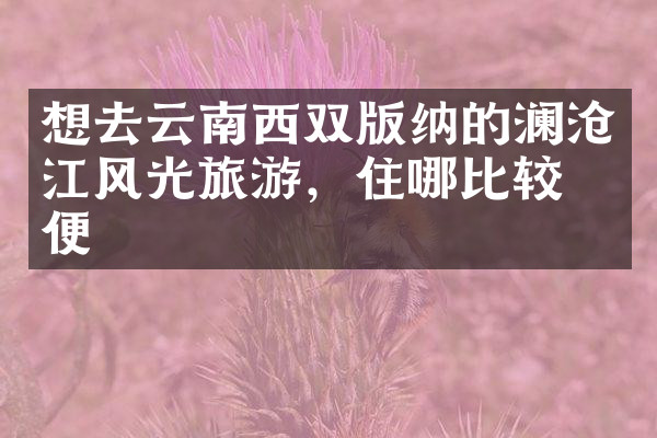 想去云南西双版纳的澜沧江风光旅游，住哪比较方便