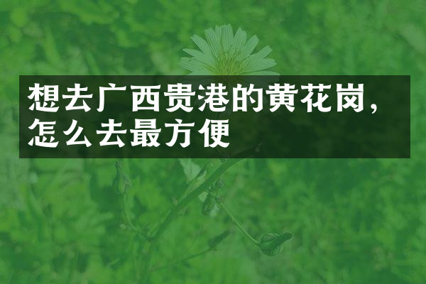 想去广西贵港的黄花岗，怎么去最方便