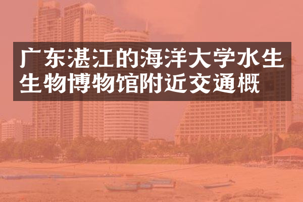 广东湛江的海洋大学水生生物博物馆附近交通概况