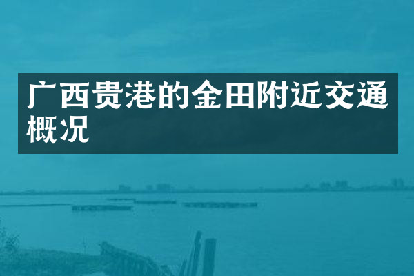 广西贵港的金田附近交通概况
