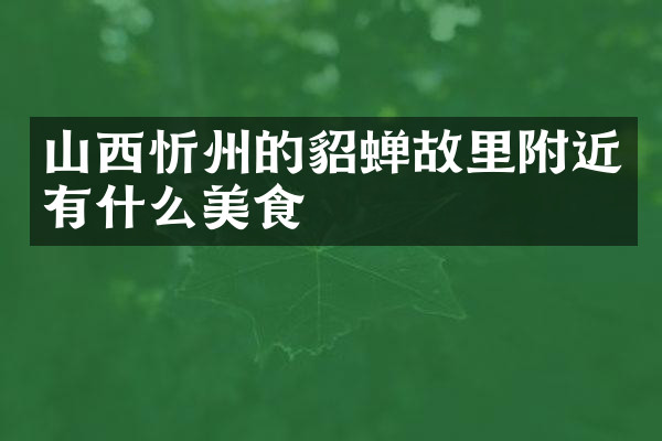 山西忻州的貂蝉故里附近有什么美食