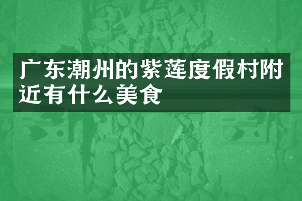 广东潮州的紫莲度假村附近有什么美食