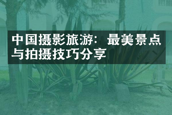 中国摄影旅游：最美景点与拍摄技巧分享