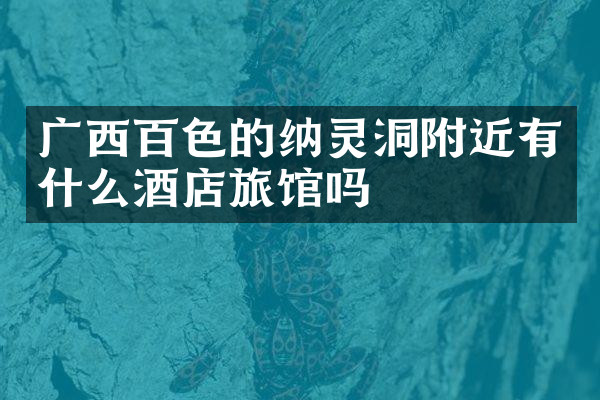 广西百色的纳灵洞附近有什么酒店旅馆吗