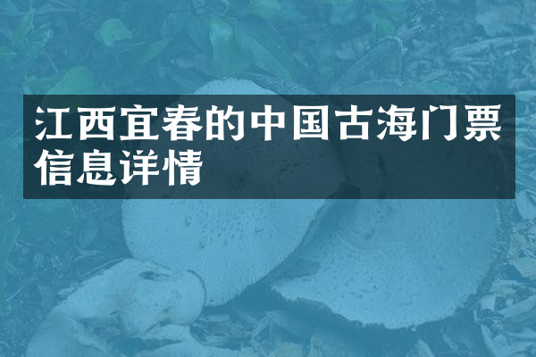 江西宜春的中国古海门票信息详情