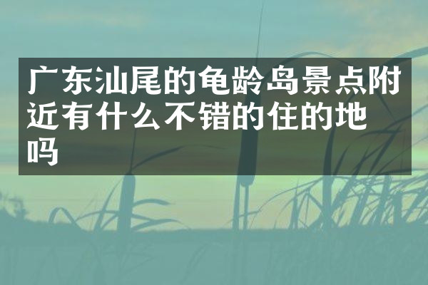 广东汕尾的龟龄岛景点附近有什么不错的住的地方吗
