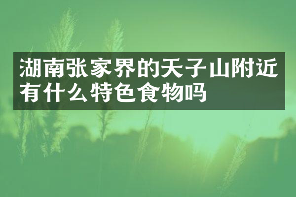 湖南张家界的天子山附近有什么特色食物吗