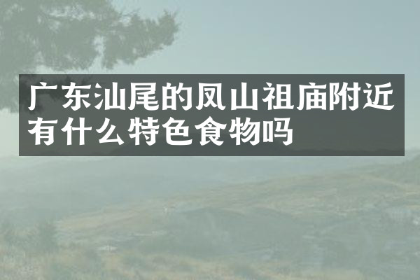 广东汕尾的凤山祖庙附近有什么特色食物吗