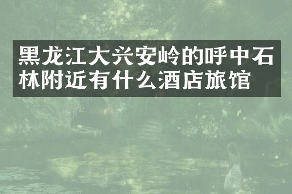 黑龙江大兴安岭的呼中石林附近有什么酒店旅馆吗