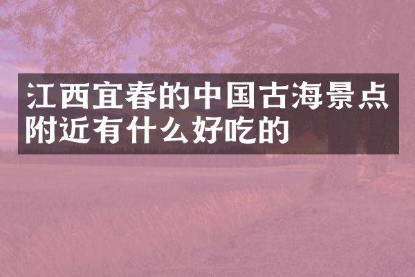 江西宜春的中国古海景点附近有什么好吃的