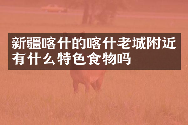 新疆喀什的喀什老城附近有什么特色食物吗