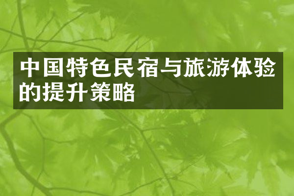 中国特色民宿与旅游体验的提升策略