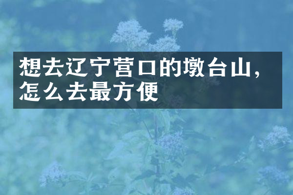 想去辽宁营口的墩台山，怎么去最方便