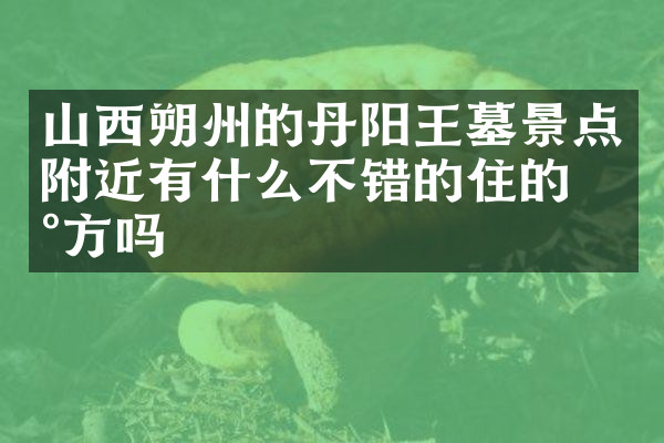 山西朔州的丹阳王墓景点附近有什么不错的住的地方吗