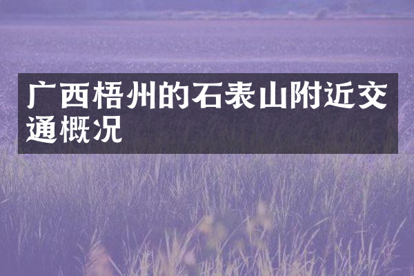 广西梧州的石表山附近交通概况