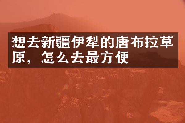 想去新疆伊犁的唐布拉草原，怎么去最方便