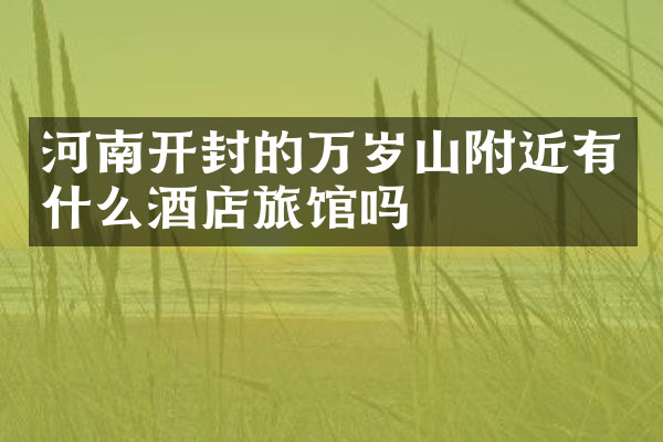 河南开封的万岁山附近有什么酒店旅馆吗