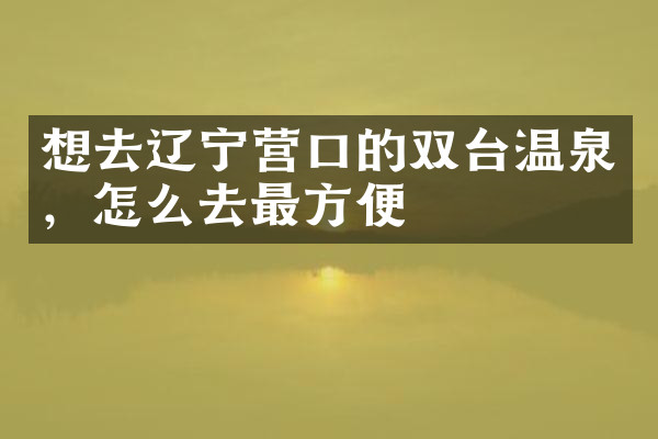 想去辽宁营口的双台温泉，怎么去最方便