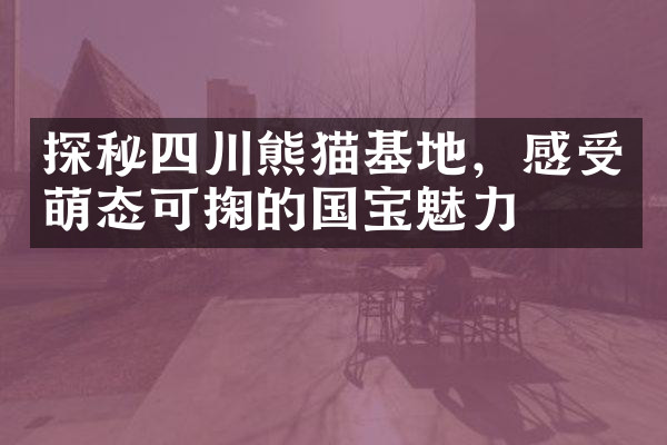 探秘四川熊猫基地，感受萌态可掬的国宝魅力