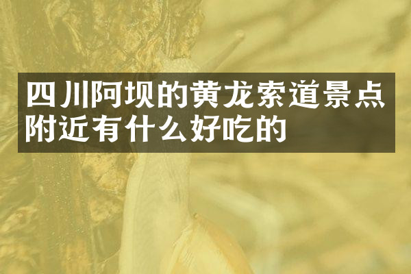 四川阿坝的黄龙索道景点附近有什么好吃的