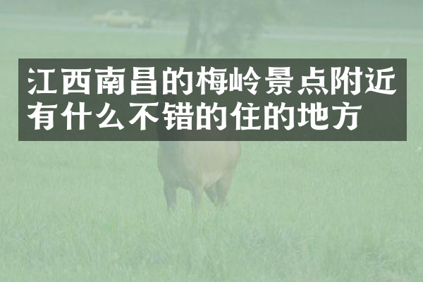 江西南昌的梅岭景点附近有什么不错的住的地方吗