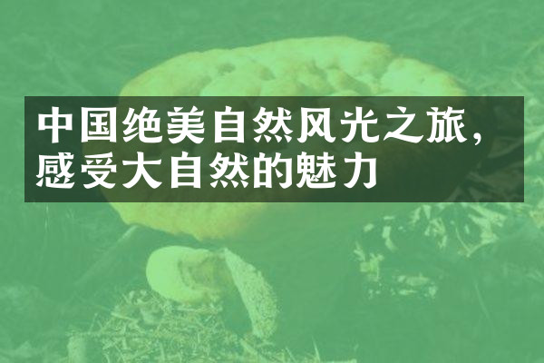 中国绝美自然风光之旅，感受大自然的魅力