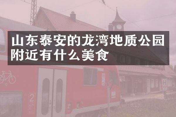 山东泰安的龙湾地质公园附近有什么美食