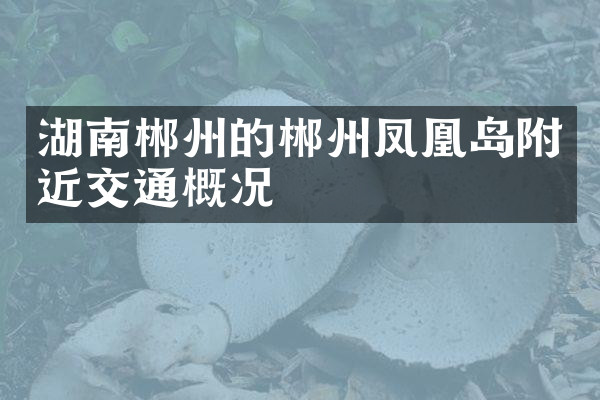 湖南郴州的郴州凤凰岛附近交通概况