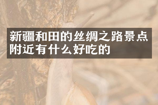 新疆和田的丝绸之路景点附近有什么好吃的