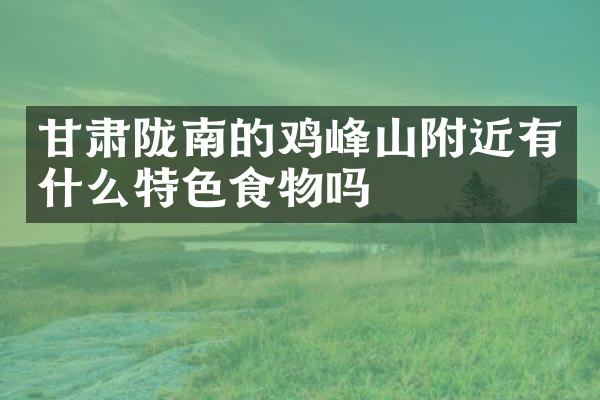 甘肃陇南的鸡峰山附近有什么特色食物吗