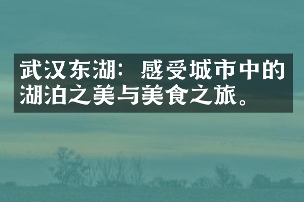 武汉东湖：感受城市中的湖泊之美与美食之旅。