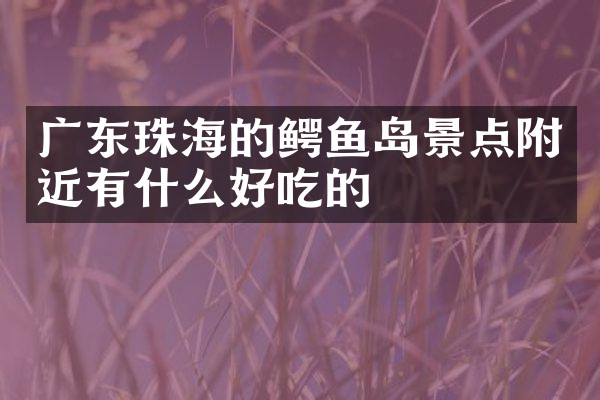 广东珠海的鳄鱼岛景点附近有什么好吃的