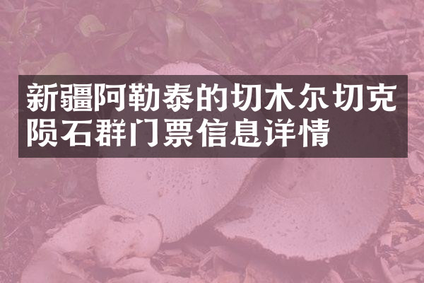 新疆阿勒泰的切木尔切克陨石群门票信息详情