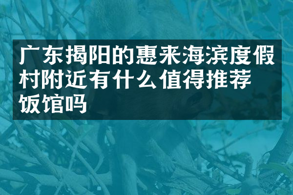 广东揭阳的惠来海滨度假村附近有什么值得推荐的饭馆吗