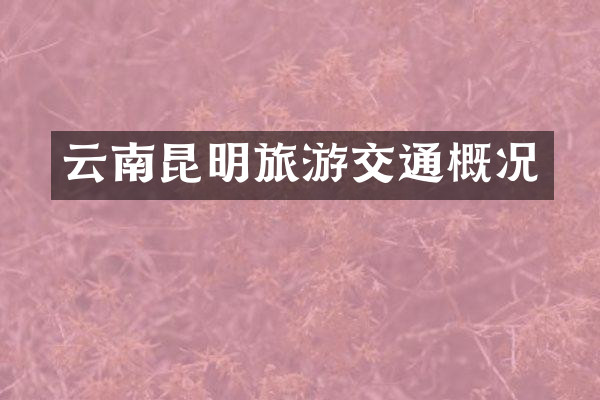 云南昆明旅游交通概况