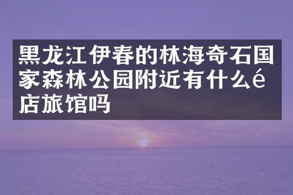 黑龙江伊春的林海奇石国家森林公园附近有什么酒店旅馆吗