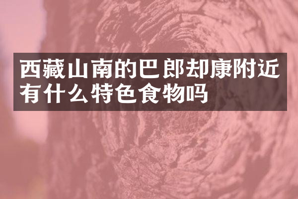 西藏山南的巴郎却康附近有什么特色食物吗