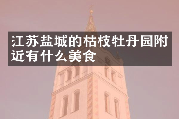 江苏盐城的枯枝牡丹园附近有什么美食