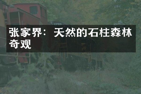 张家界：天然的石柱森林奇观