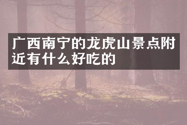 广西南宁的龙虎山景点附近有什么好吃的