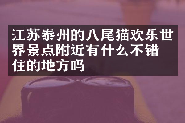 江苏泰州的八尾猫欢乐世界景点附近有什么不错的住的地方吗