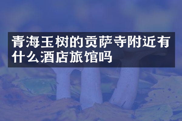 青海玉树的贡萨寺附近有什么酒店旅馆吗