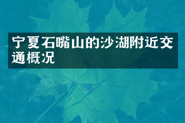 宁夏石嘴山的沙湖附近交通概况