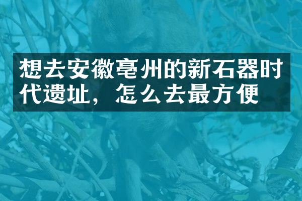 想去安徽亳州的新石器时代遗址，怎么去最方便