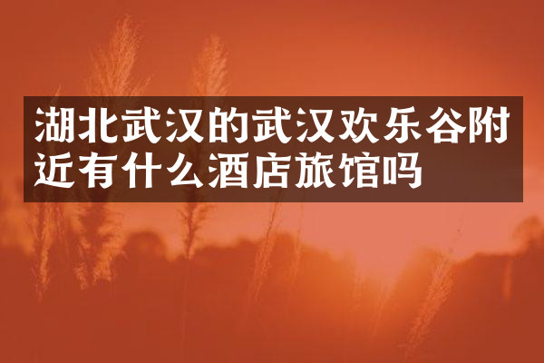 湖北武汉的武汉欢乐谷附近有什么酒店旅馆吗