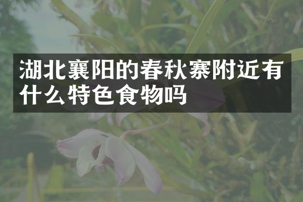 湖北襄阳的春秋寨附近有什么特色食物吗