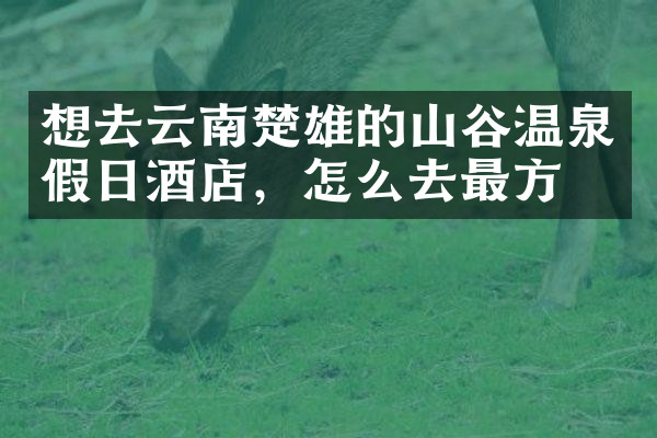 想去云南楚雄的山谷温泉假日酒店，怎么去最方便