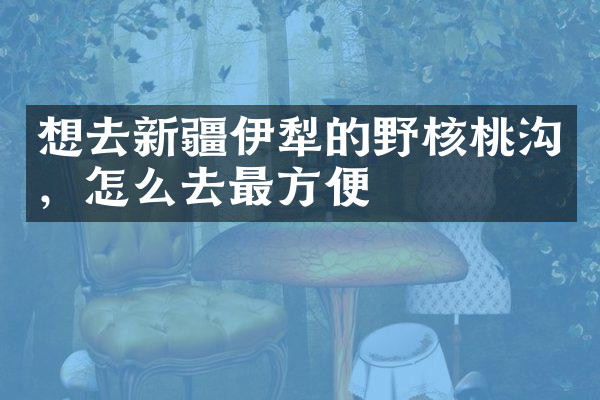 想去新疆伊犁的野核桃沟，怎么去最方便
