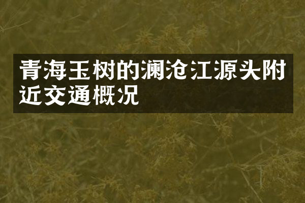 青海玉树的澜沧江源头附近交通概况